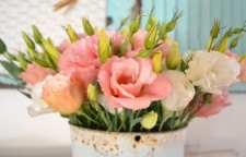 معرفی گل لیزیانتوس معروف به لیسیانتوس