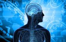 نحوه عملکرد بدن در ساعات مختلف روز