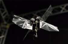 ربات پرنده DelFly Nimble می تواند همانند یک حشره واقعی پرواز کند