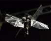 ربات پرنده DelFly Nimble می‌ تواند همانند یک حشره واقعی پرواز کند