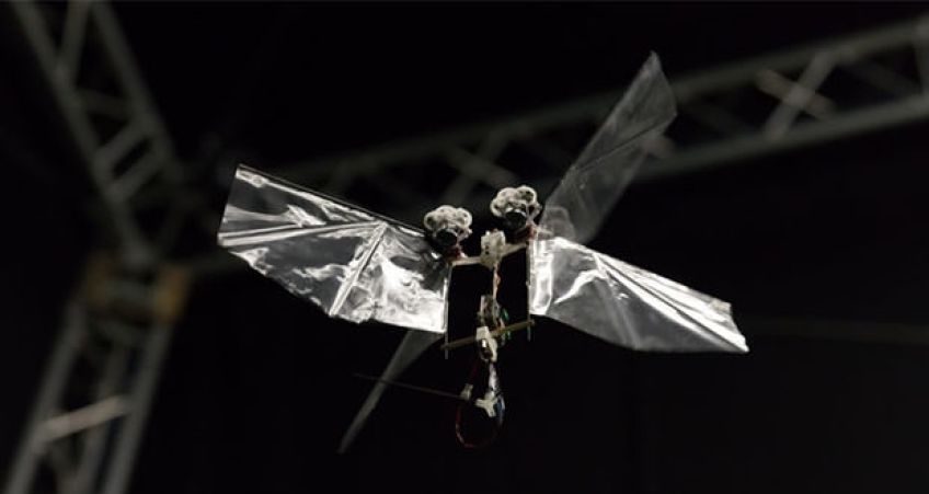 ربات پرنده DelFly Nimble می‌ تواند همانند یک حشره واقعی پرواز کند