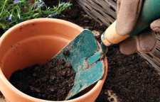 آشنایی با روش هایی برای ضد عفونی کردن خاک گیاهان