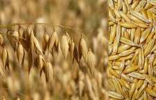 خواص فوق العاده جو دوسر