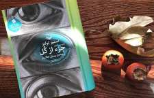 رمان زیبای جز از کل نوشته استیو تولتز