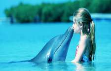 پژواک صدای دلفین ها و چگونگی کارکرد مغزی دلفین ها