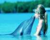 پژواک صدای دلفین ها و چگونگی کارکرد مغزی دلفین ها