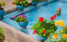 شعر پیغام ماهی ها از سهراب سپهری شاعر معاصر