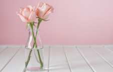 روش هایی برای شاداب تر ماندن شاخه گل ها