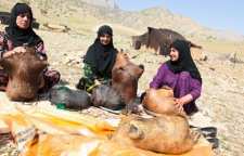 کره دان صنایع دستی ایلام