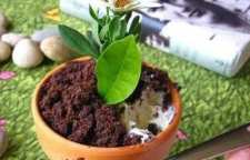 آموزش تهیه دسر بستنی گلدانی