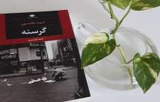 رمان گرسنه اثر از کنوت هامسون