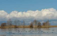 تالاب ناور وسیع ترین تالاب شهرستان چالدران آذربایجان غربی