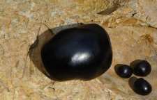 با خواص ماده دارویی ناشناخته مومنایی آشنا شویم