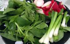 نکات جهت نگهداری سبزی خوردن به مدت یک هفته