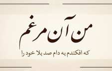 شعر و غزل من آن مرغم که افکندم به دام صد بلا خود را از گزیده اشعار وحشی بافقی