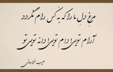 شعر عاشقانه امروز امیر در میخانه تویی تو از میرزا حبیب خراسانی