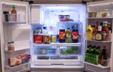 دانستنی های یخچالی