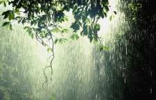 شعر باز هم باران از مهدی اخوان ثالث متخلص به م امید شاعر معاصر