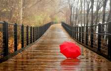 اشعار عاشقانه و زیبا در مورد باران
