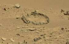 کشف اسکلت پای دایناسور در مریخ