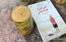 رمان کمی قبل از خوشبختی اثر انیس لودیگ برنده ی جایزه خانه مطبوعات فرانسه سال 2013