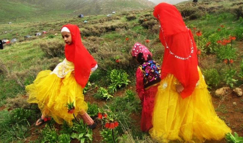 جشنواره لاله های واژگون در دشت دالانی شهرستان الیگودرز استان لرستان