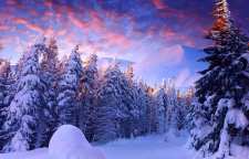 15 بهمن جشن میانه زمستان ایرانیان