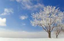 شعر زیبای پیغام از مهدی اخوان ثالث شاعر معاصر