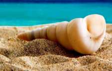 ماسه چگونه ساخته می شود