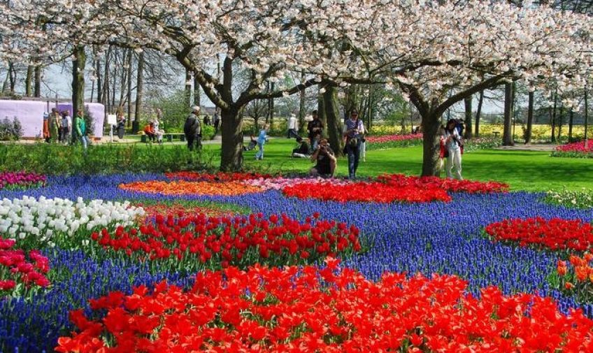 باغ گل کوکنهوف هلند معروف به باغ اروپا