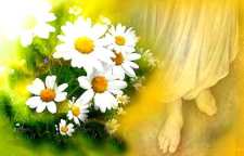 تعریف امامت