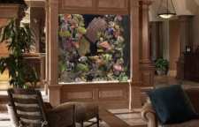 انواع مدل آکواریوم گیاهی در دکوراسیون منزل