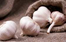 بهترین روش نگهداری سیر در خانه