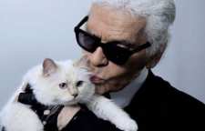 شوپت گربه اشرافی که وارث ثروت کارل لاگرفلد طراح سرشناس شد