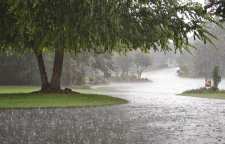 شعر عاشقانه باران صبحگاهی از رهی معیری