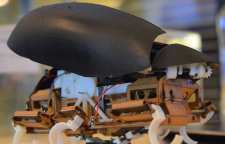 ساخت روبات JumpRoACH با الهام از عملکرد سوسک