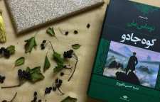 رمان کلاسیک و کمدی کوه جادو نوشته توماس مان