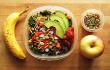 تامین پروتئین برای گیاه خواران