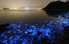 ساحل نورانی بندر چابهار