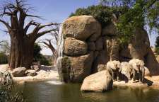 باغ وحش بیو پارک شهر والنسیا کشور اسپانیا از بهترین باغ وحش های دنیا