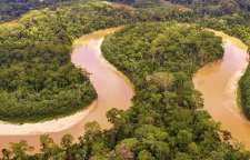چرا هیچ پلی روی رود آمازون ساخته نشده است