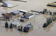 شعر سیل میگون از فریدون مشیری شاعر معاصر