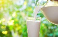 یکی از مهمترین شاخص های توسعه فرهنگی مصرف شیر است