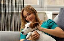 چگونگی رفتار با حیوانات خانگی و اهلی