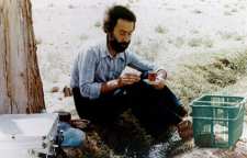 شعر روشن شب از اشعار زیبای سهراب سپهری