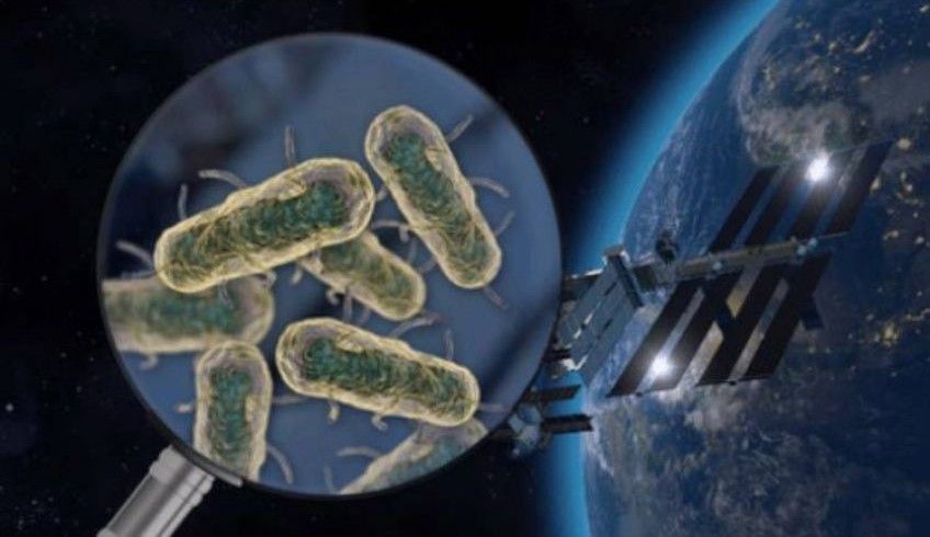 ایستگاه فضایی بین المللی مخزنی از میکروب‌ است