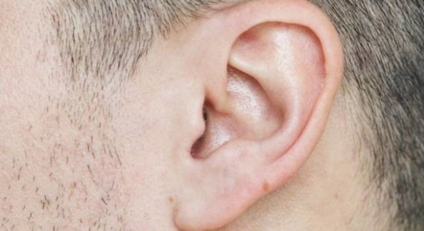 تشخیص بیماری ها از روی شکل گوش ها