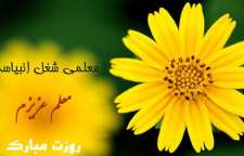 اشعار کوتاه و پیامک های ویژه روز معلم