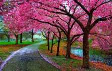 اردیبهشت بهترین زمان سفر