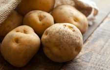 نگهداری و انبار کردن سیب زمینی